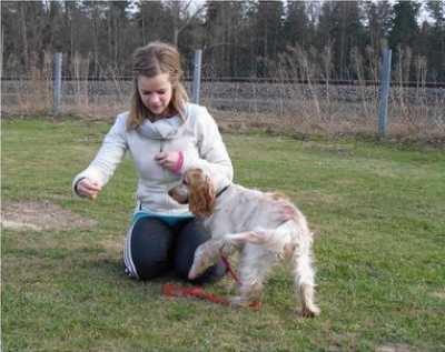 Dummytraining bei Pfotentrainer